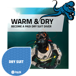 Dry Suit Diver